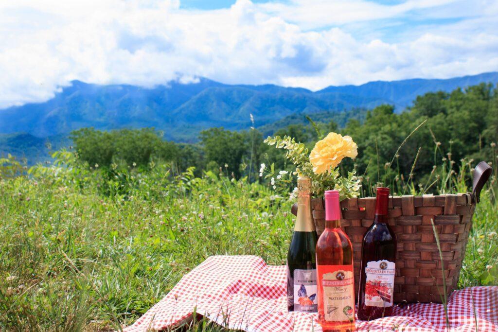 Bottles of wine in front of picnic basket with view of Smoky Mountains.